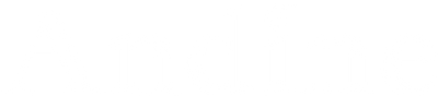 Andine logo