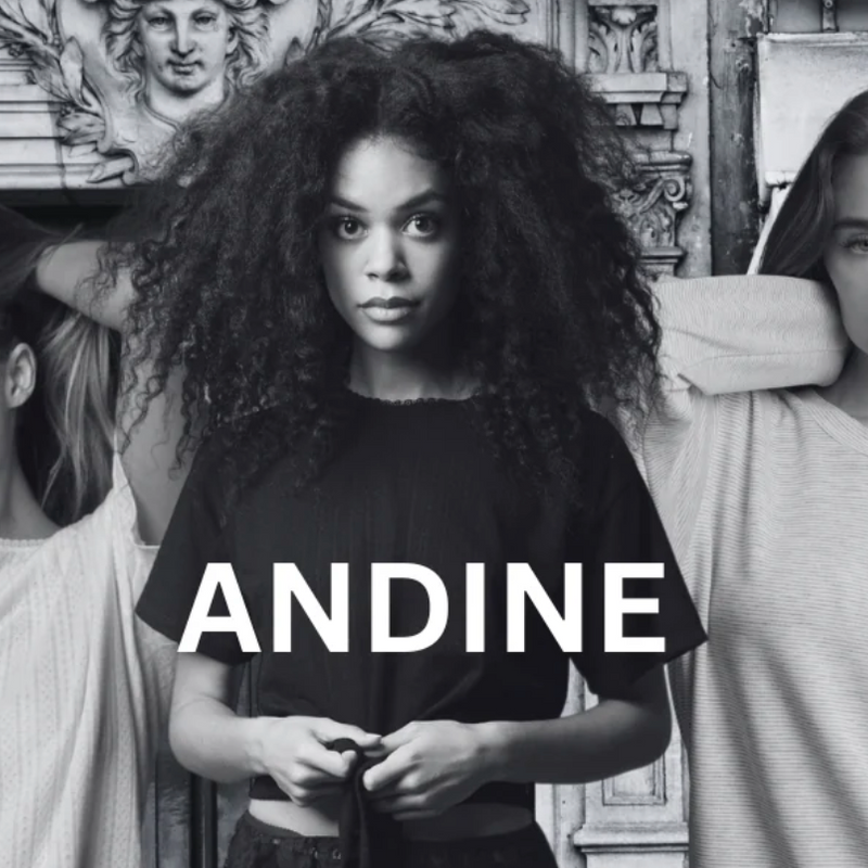 DISCOVER THE ALLURE OF ANDINE LOUNGEWEAR