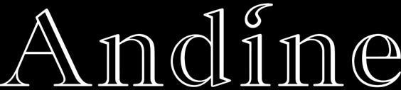 A Fresh Look for Andine: Our New Website is Here!